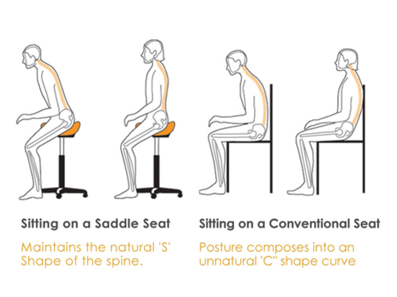 Saddle Stool