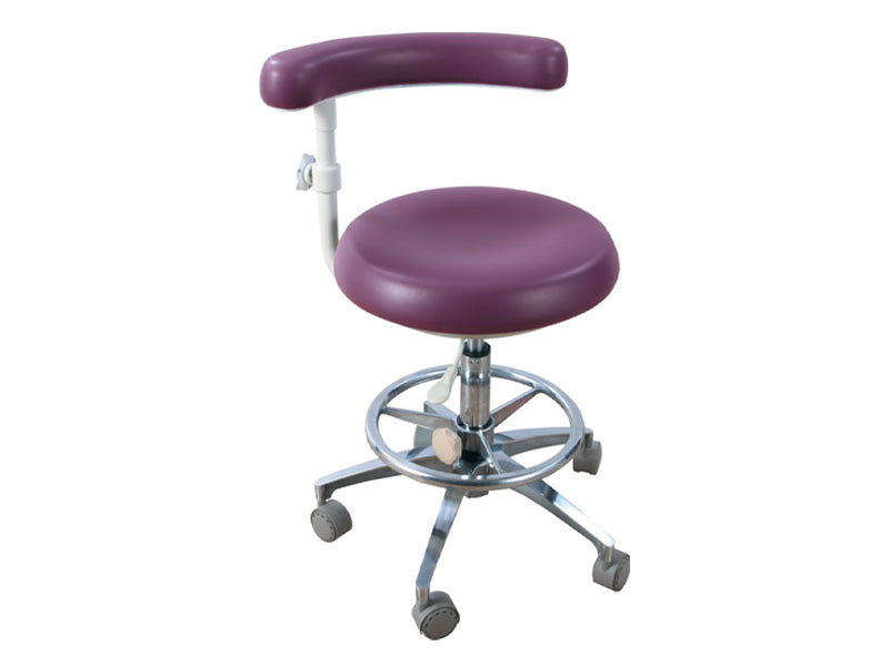Deluxe Assistant Stool