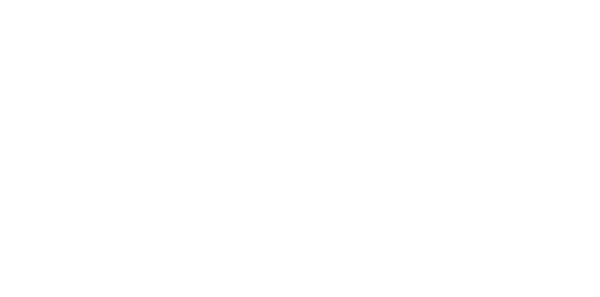 vikingdentalgroup.com